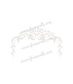 FW6005 -Reusable Wall Stencil Design-16*22 Inch