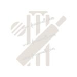 FW6016 -Reusable Wall Stencil Design