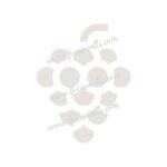 FW6039 -Reusable Wall Stencil Design