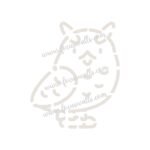 FW6057 -Reusable Wall Stencil Design