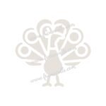 FW6059 -Reusable Wall Stencil Design