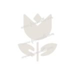 FW6061 -Reusable Wall Stencil Design