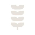 FW6093 -Reusable Wall Stencil Design