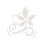 FW6102 -Reusable Wall Stencil Design