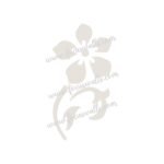 FW6112 -Reusable Wall Stencil Design