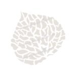 FW6123 -Reusable Wall Stencil Design