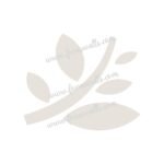 FW6126 -Reusable Wall Stencil Design
