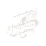 FW6136 -Reusable Wall Stencil Design